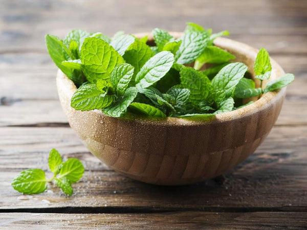 Pudina Pata (Mint Leaves) ± 10 gm