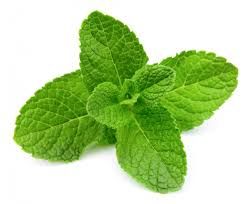 Pudina Pata (Mint Leaves) ± 10 gm