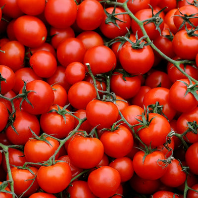 হাইব্রিড লাল চেরি টমেটো – Red Cherry Tomato (Hybrid)