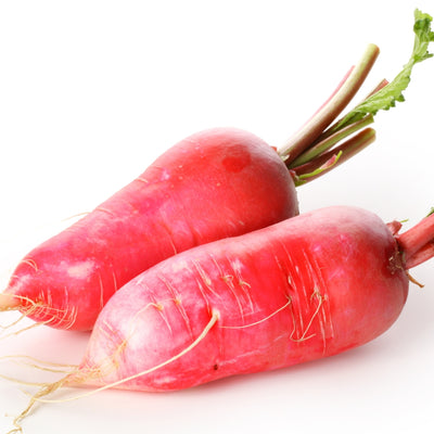 লাল মূল বীজ – Red Radish Seed (হাইব্রিড)
