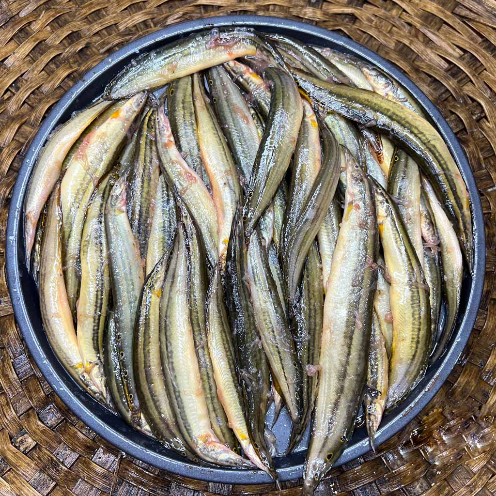 Tara Baim (তারা বাইম)