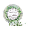 Watteh Greens Mustard Microgreen