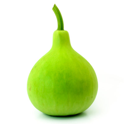 এফ১ হাইব্রিড লাউ বীজ – F1 Hybrid Bottlegourd Seeds