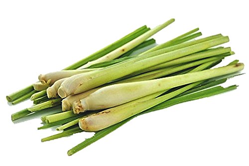 Lemon Grass Stalk ± 12 gm