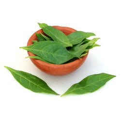 Mehendi Pata (Henna Leaves)